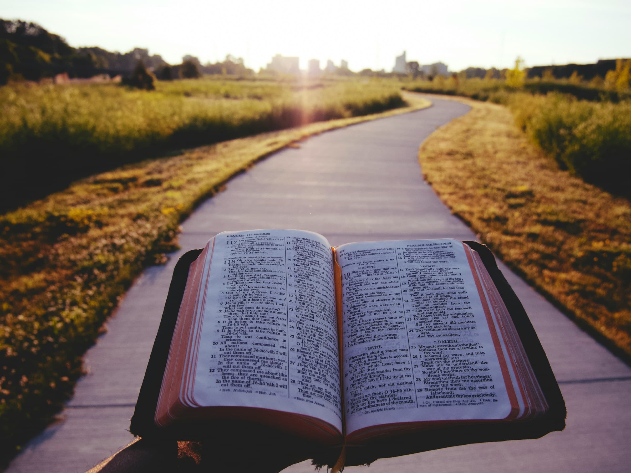 Open Bible illuminating a path through nature.