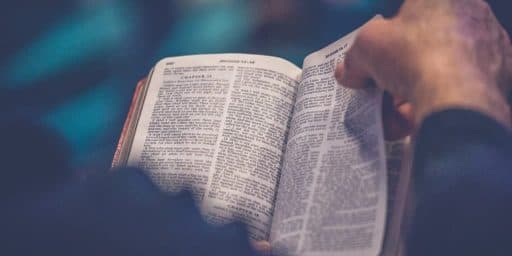 Discover Bible Guides